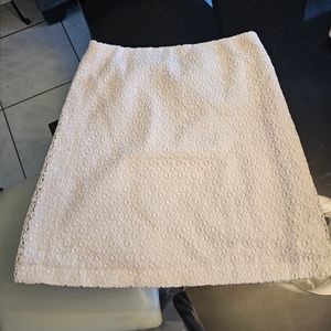 Ann Taylor Skirt